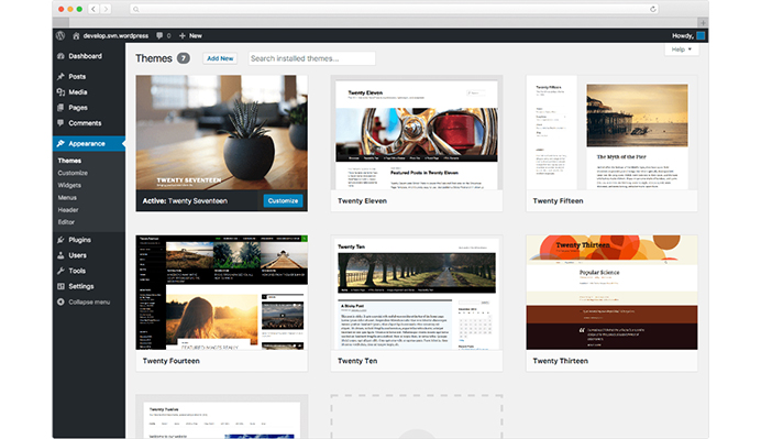 wordpress themes