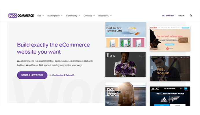 woocommerce website