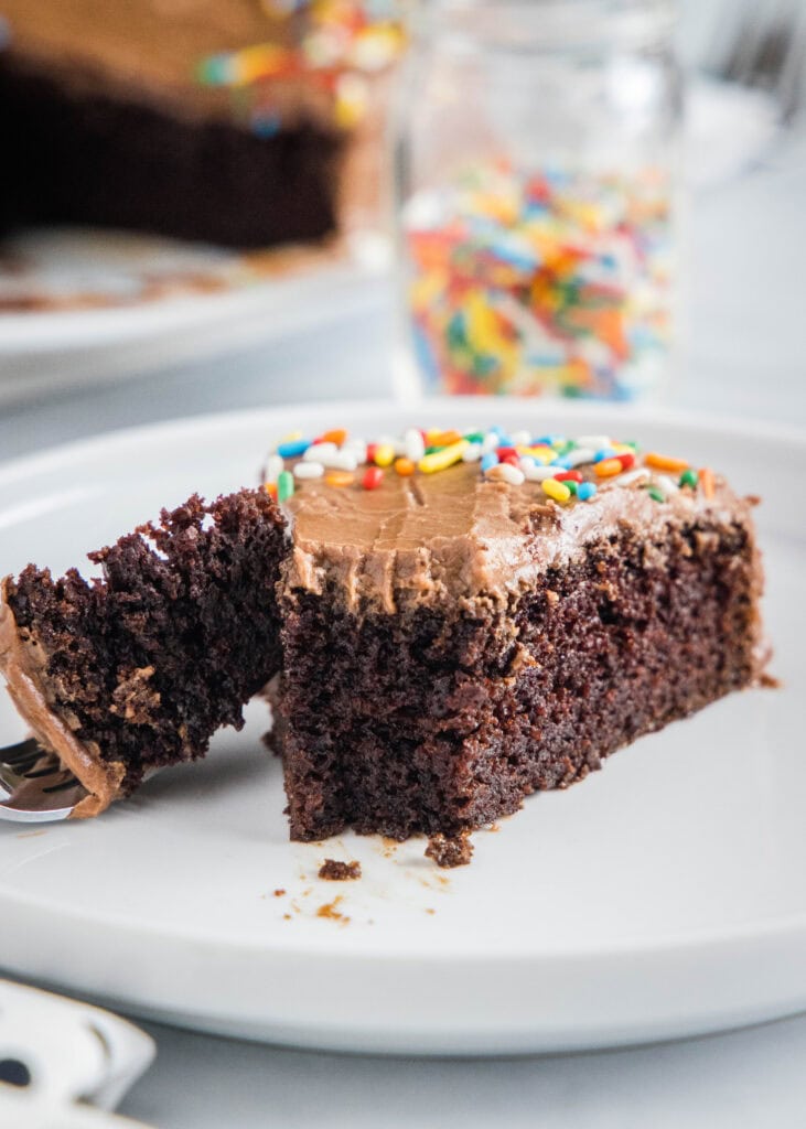 chocolate cake with a bite taken out of it