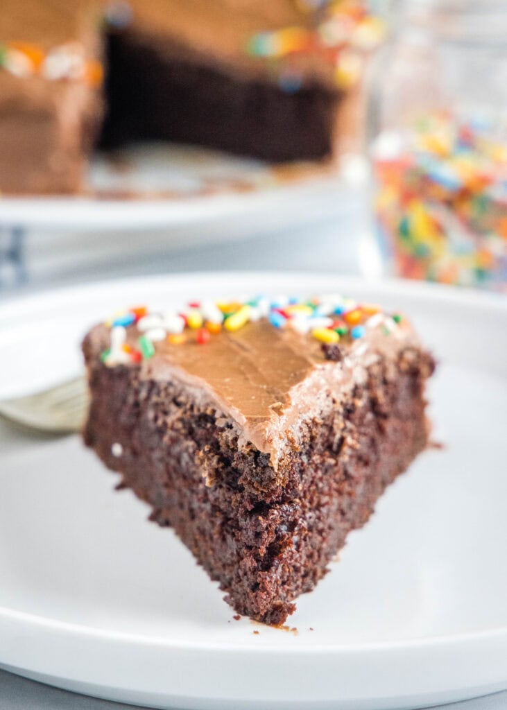 slice of chocolate cake on a white plate