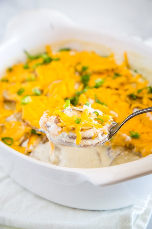 Nothing beats cheesy potatoes and these potatoes au gratin are the perfect side dish