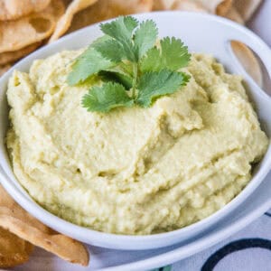 cropped close up avocado hummus