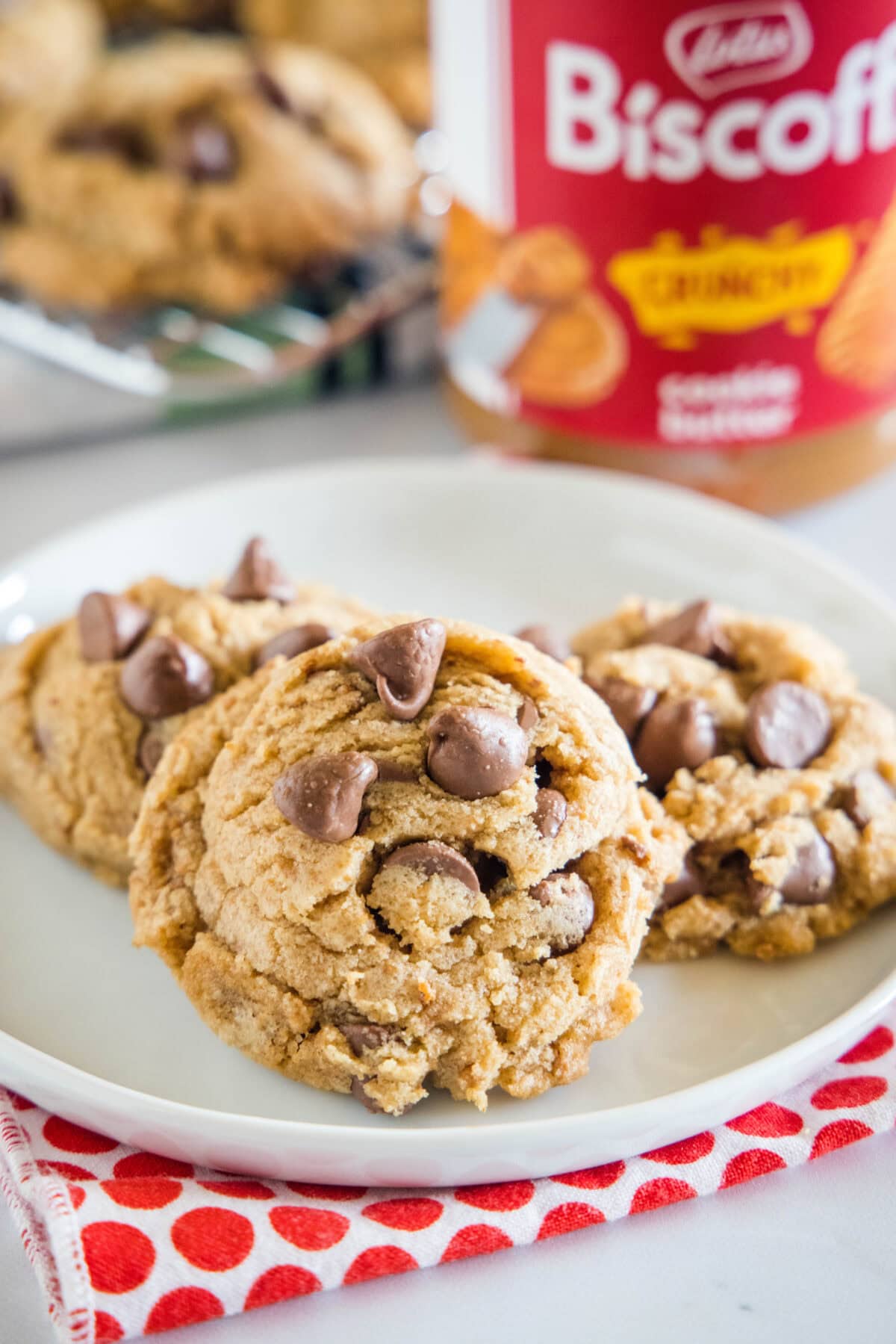 biscoff chocolate chip cookies on a white plate