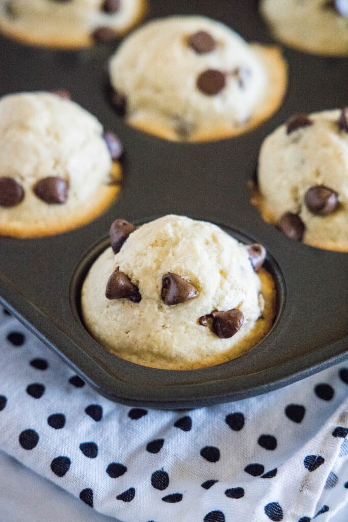 baked bisquick muffins in muffin tin