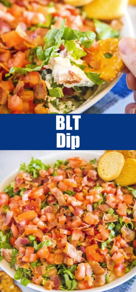 close up blt dip for pinterest