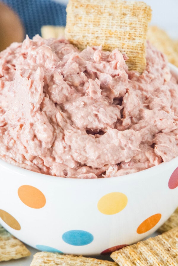cropped close up braunschweiger dip in a bowl with crackers