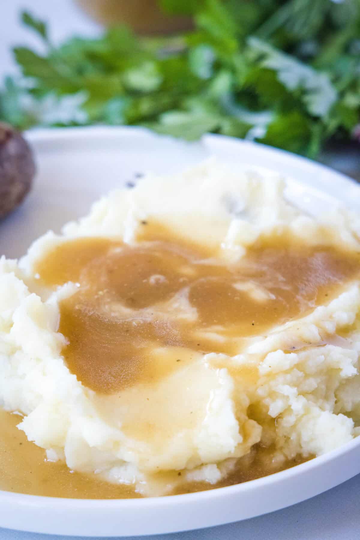 brown gravy over mashed potatoes on a white plate