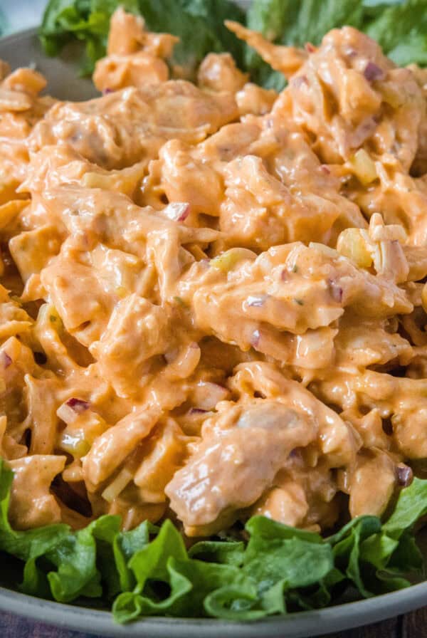 close up buffalo chicken salad on bed of greens
