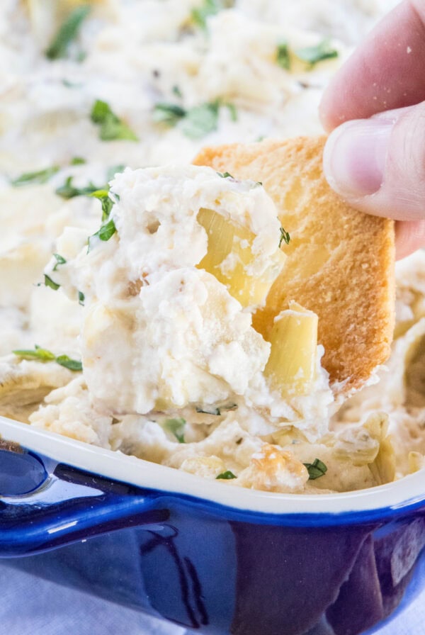close up chip in artichoke dip