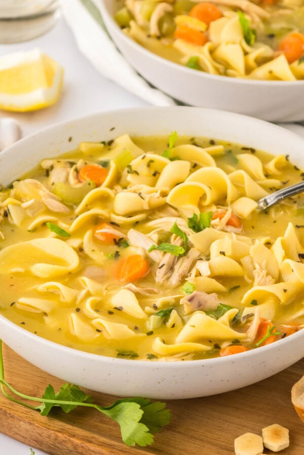 cropped close up chicken noodle soup