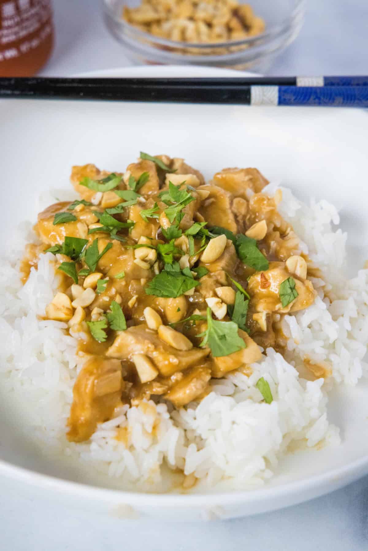 looking down on chicken satay over rice