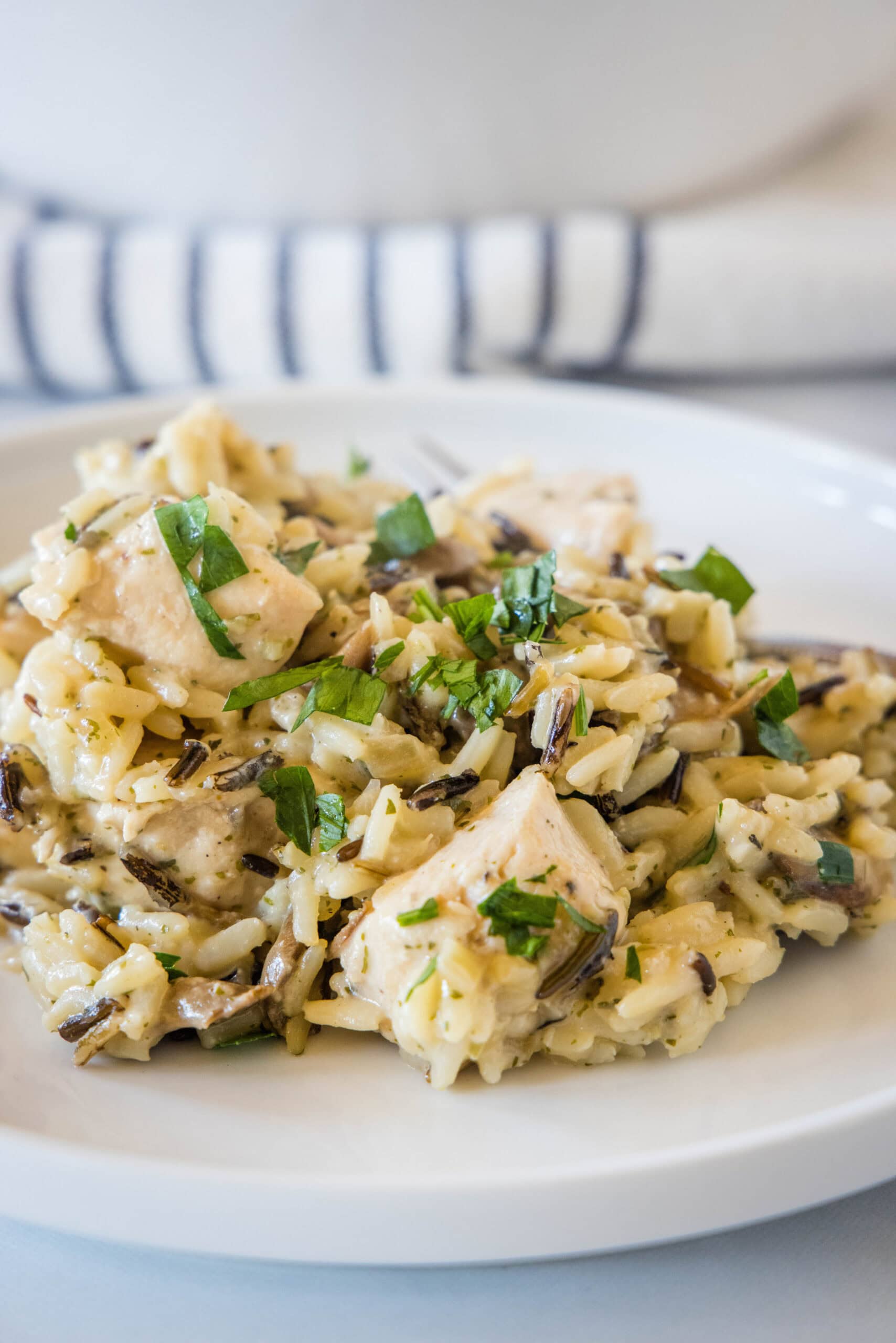 A serving of chicken wild rice casserole on a white plate.