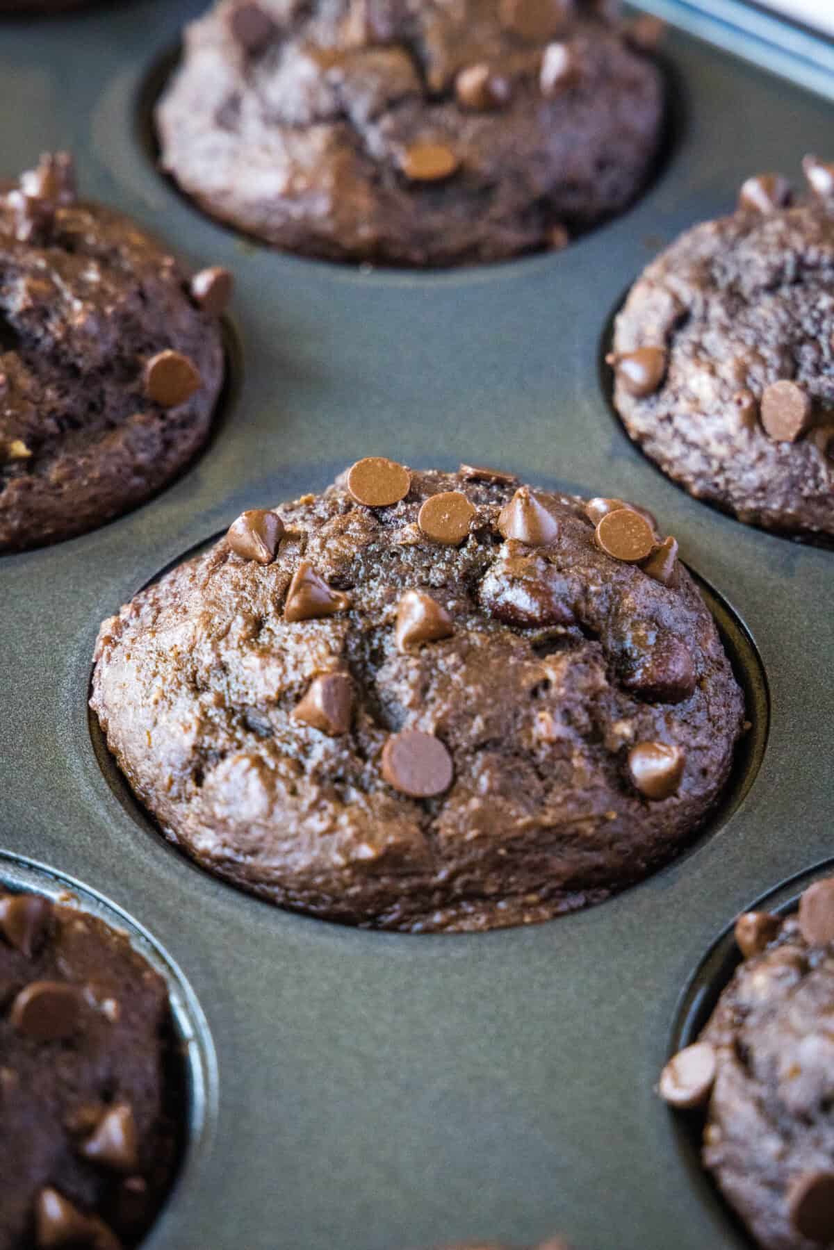 chocolate applesauce muffins in baking pan