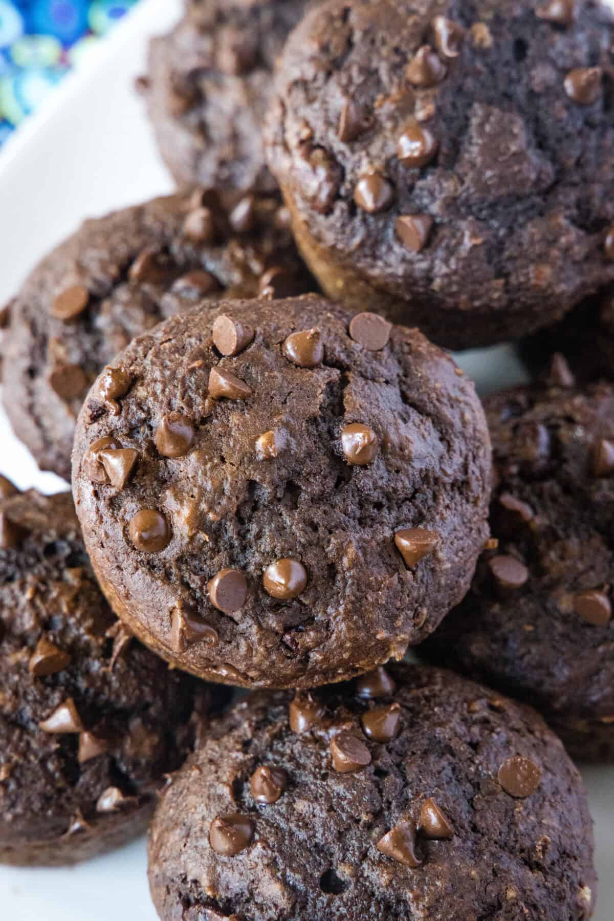 looking down on chocolate applesauce muffins arranged on a plate