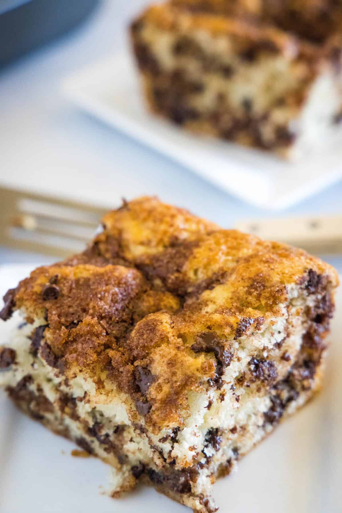 looking down on a plate with chocolate chip coffee cake