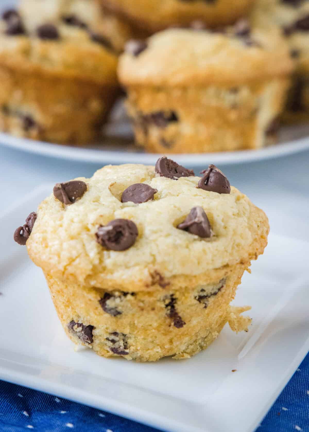 chocolate chip muffin on a white plate