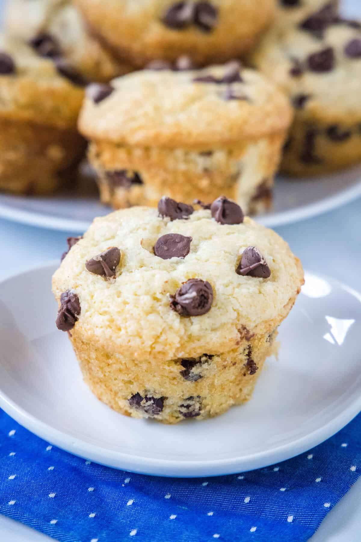 chocolate chip muffin on a white plate
