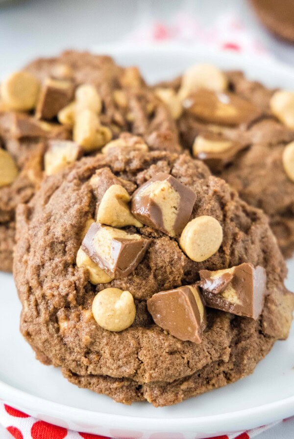 chocolate peanut butter cookies on a white plate