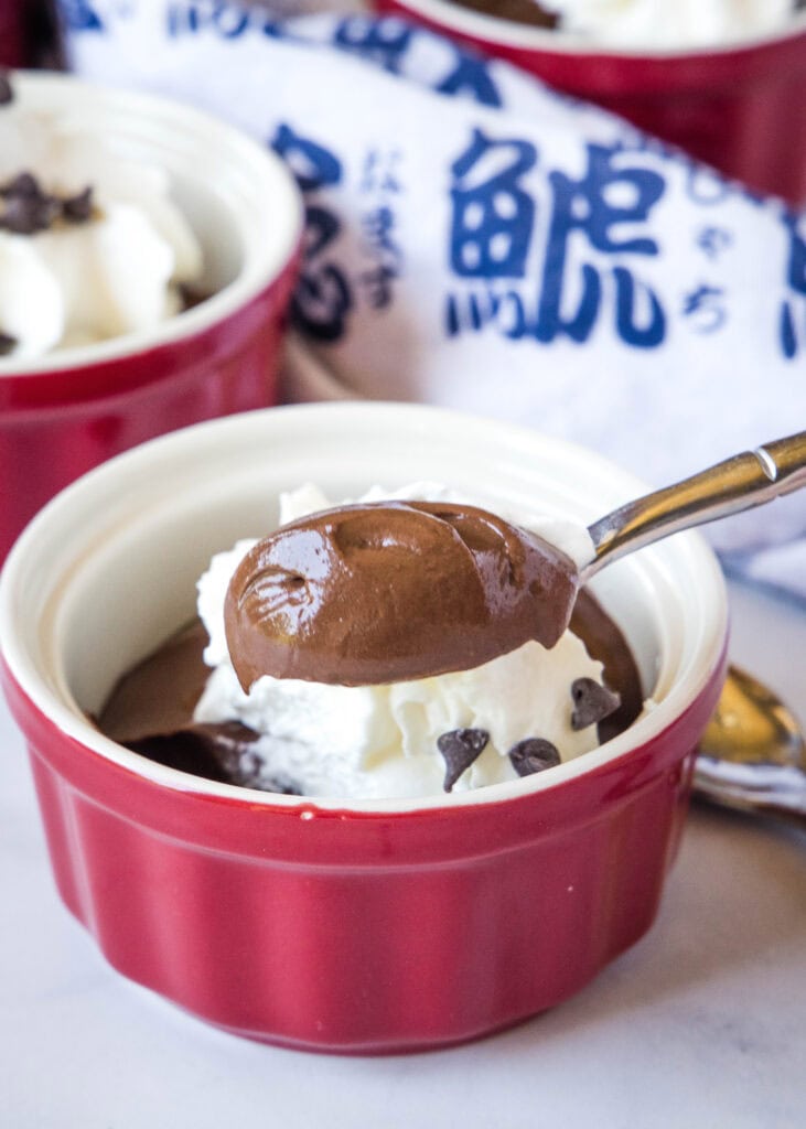 spoonful of chocolate pudding