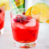 Cranberry Gin Cocktail Recipe - A delicious and festive cocktail with cranberry juice, gin, and a splash of triple sec.