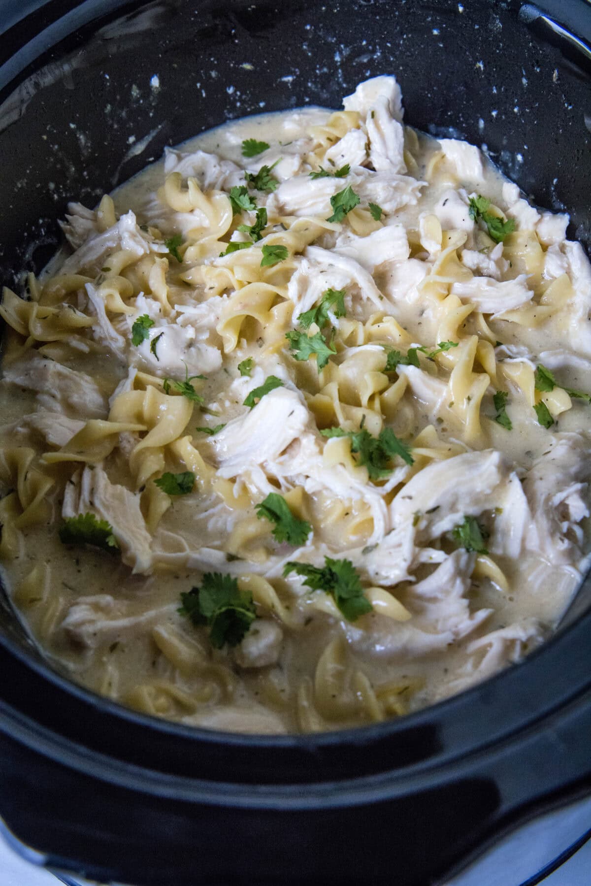 cooked chicken and noodles in slow cooker