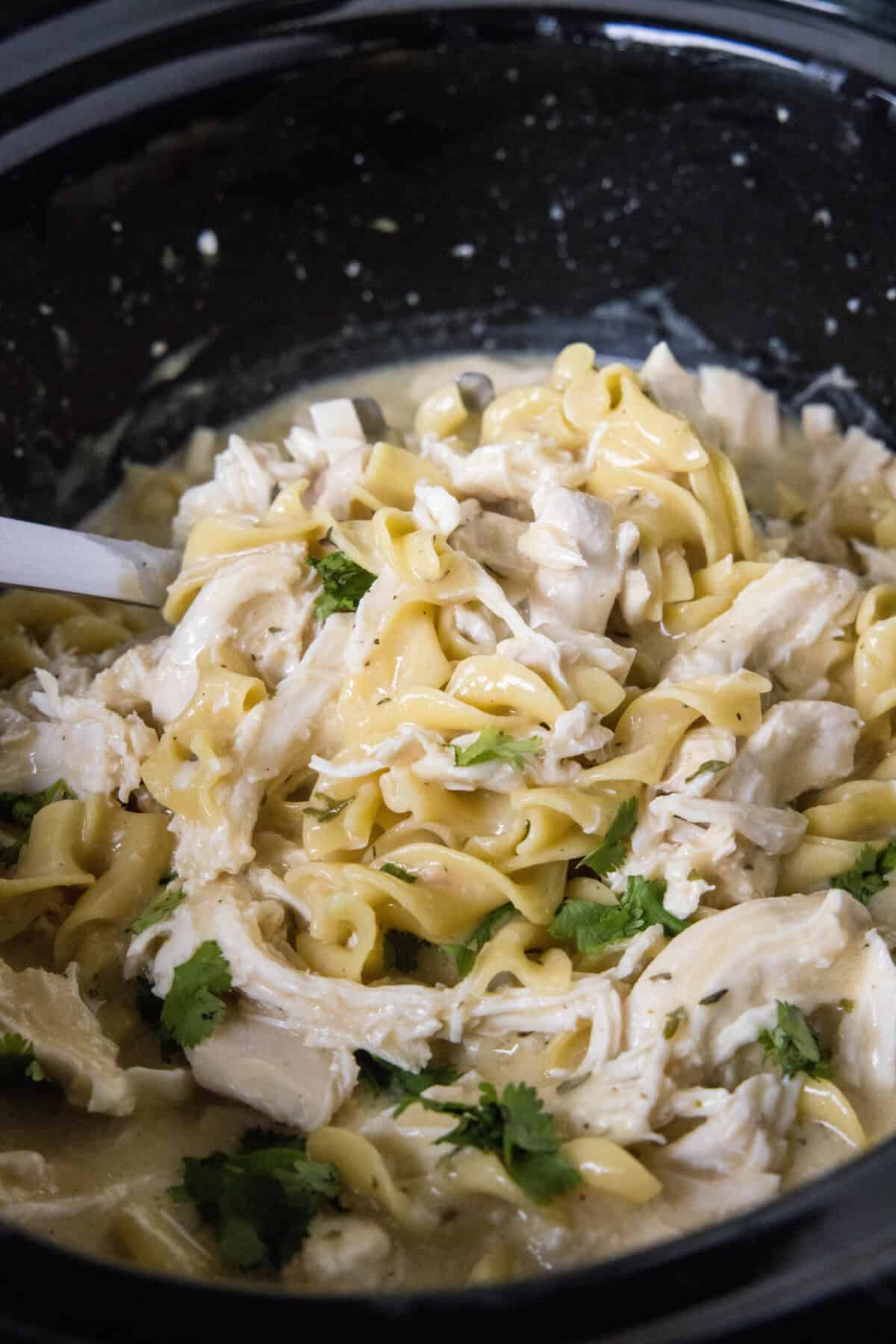 scooping chicken and noodles from crockpot