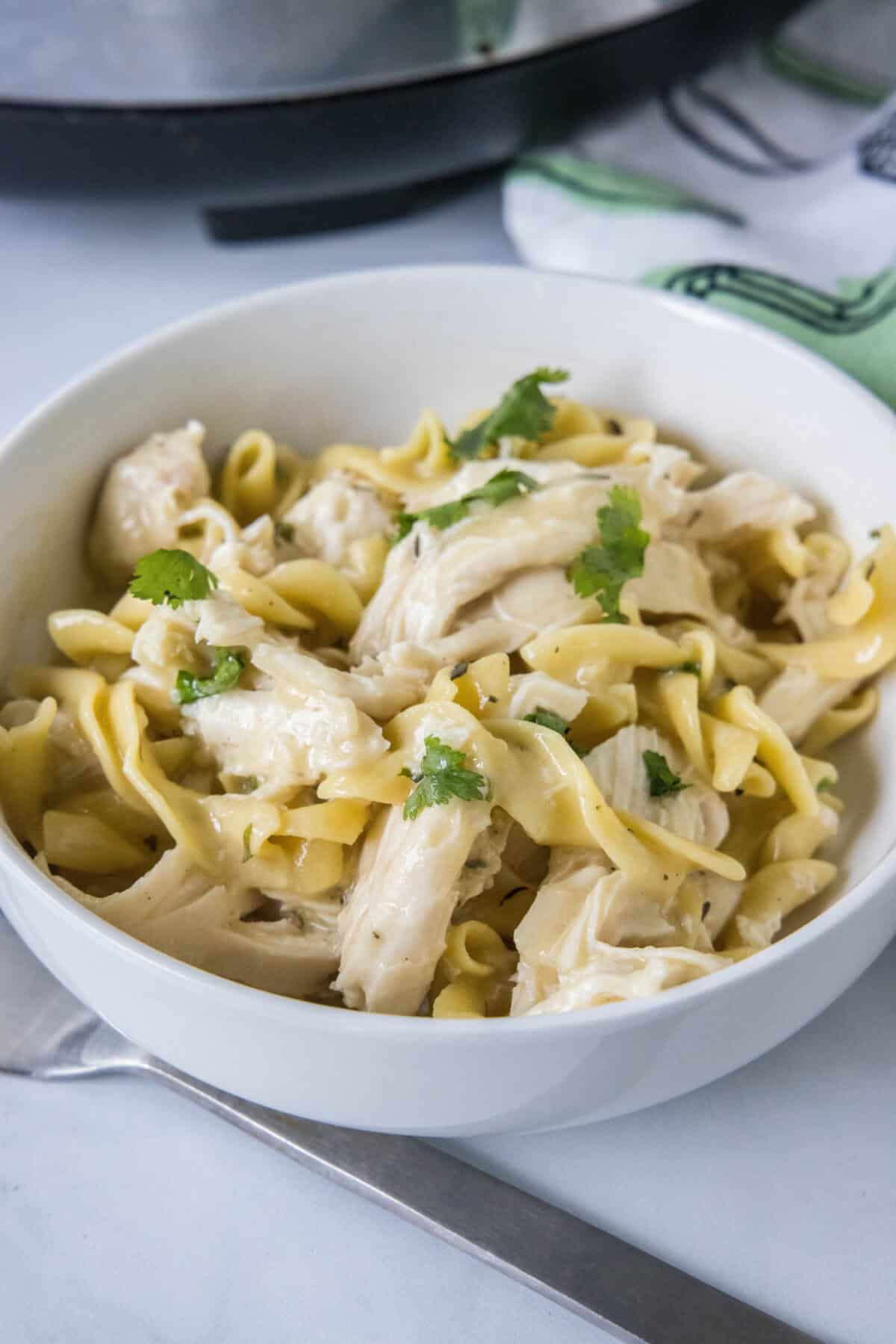 looking down on bowl of chicken and noodles