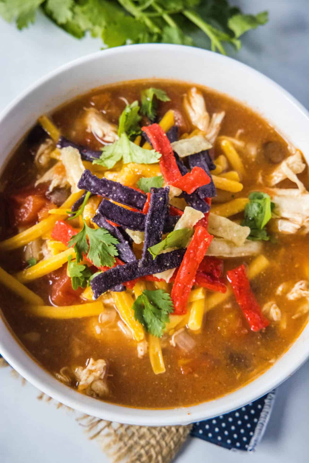 looking down on bowl of chicken tortilla soup