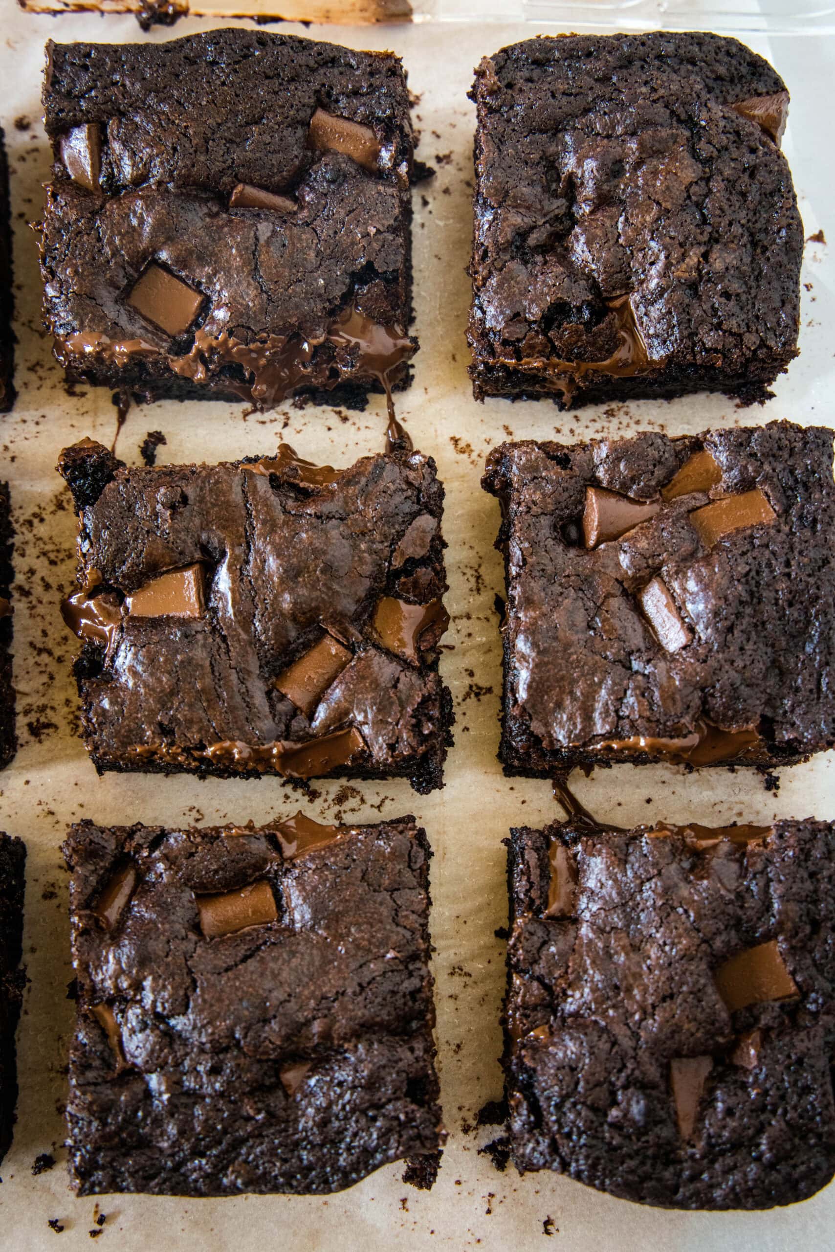 Overhead view of double chocolate brownies cut into squares.