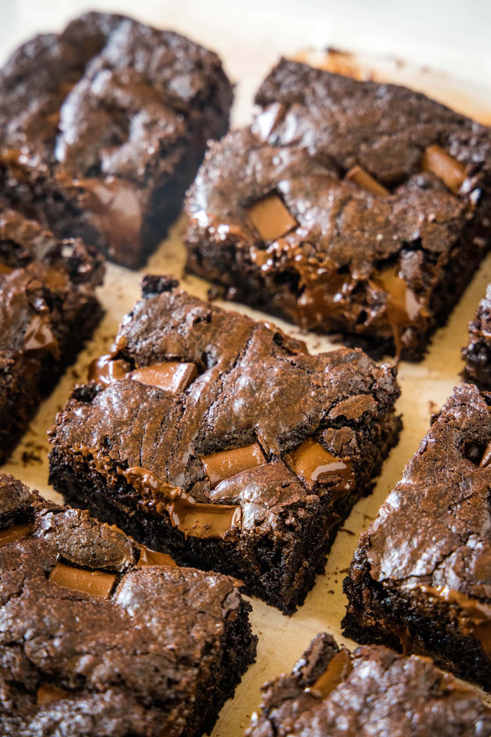 Overhead view of double chocolate brownies cut into squares.