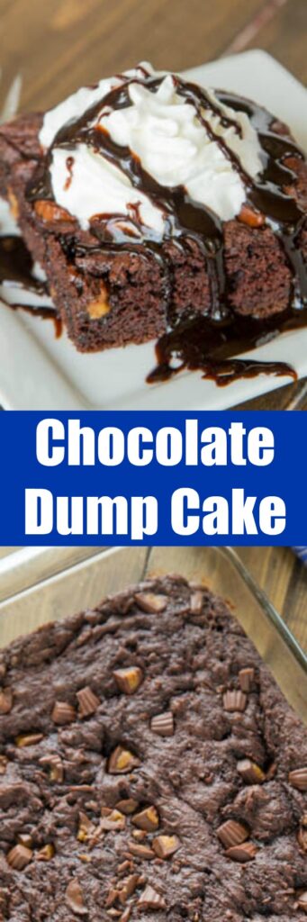 Peanut Butter Cup Dump Cake - Just 4 ingredients come together to make a rich, fudgy, chocolate-y cake studded with lots of peanut butter cups!