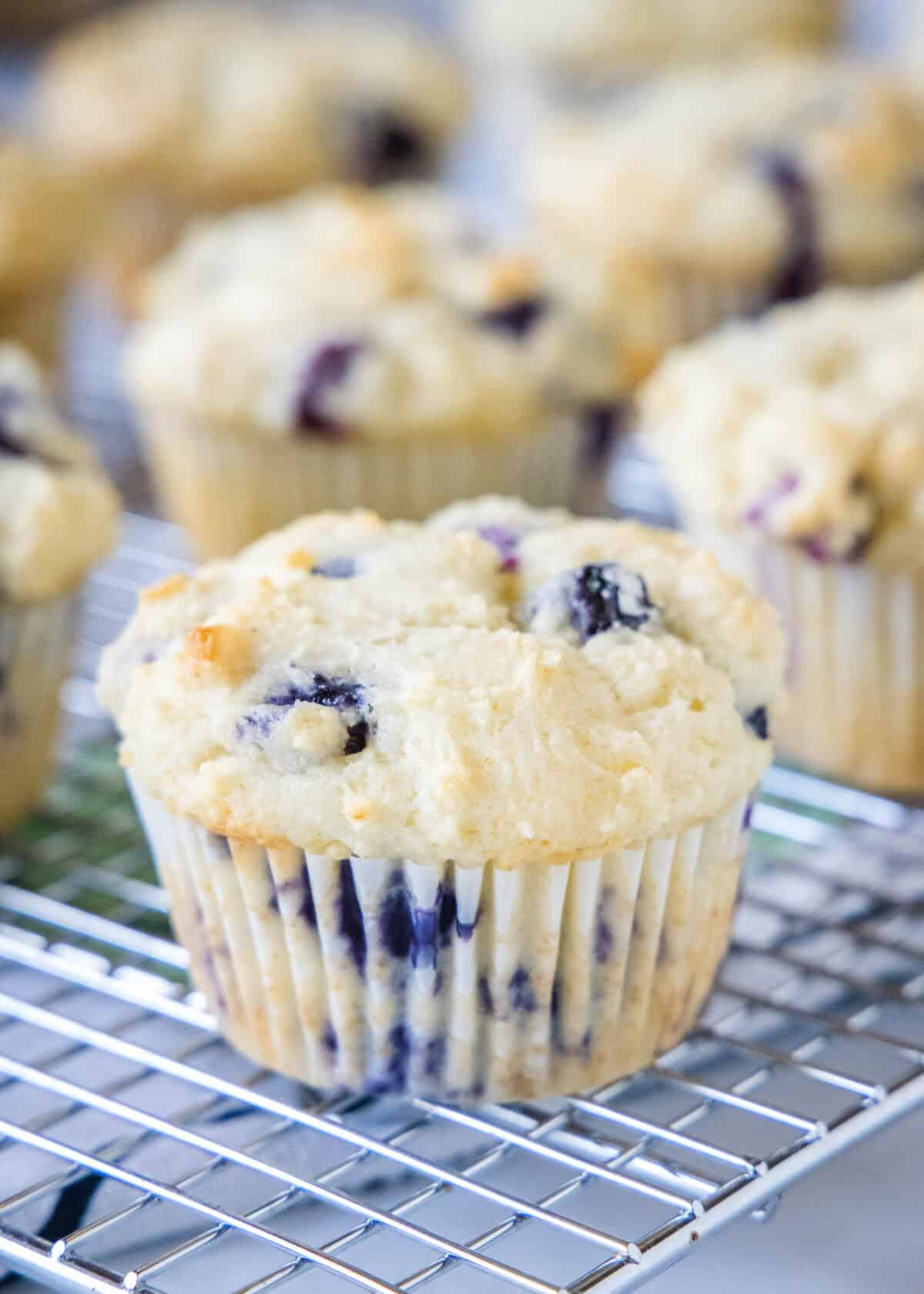 blueberry muffin on cooling rack