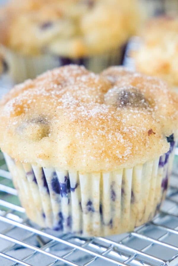 cropped close up of blueberry muffin on a cooling rack