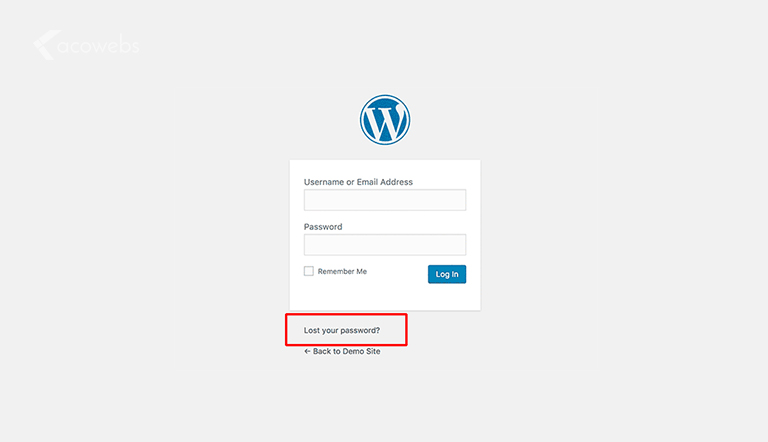 Forgot WordPress Login Password