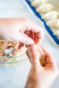 showing the crease folding on gyoza