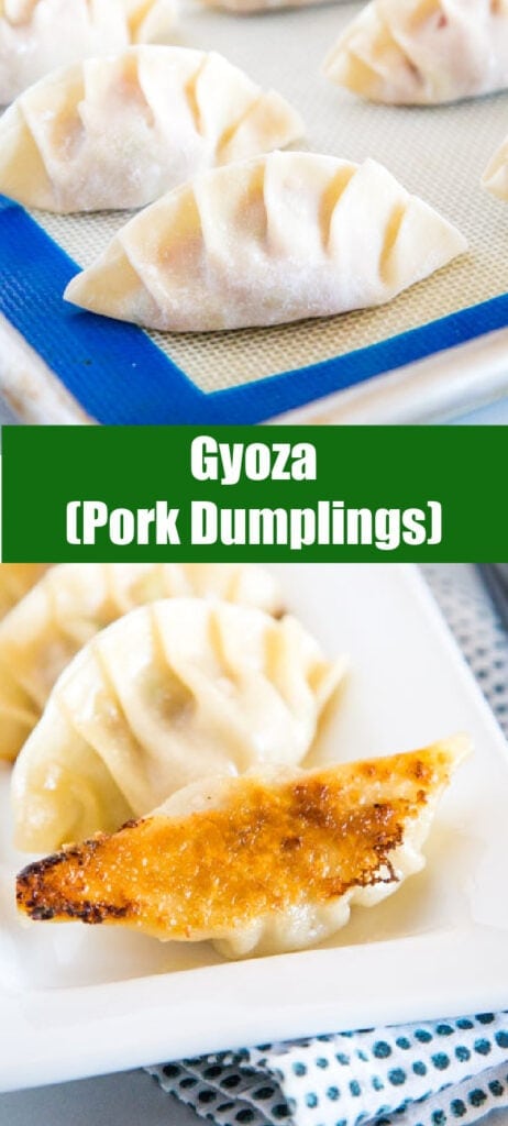college of cooked gyoza