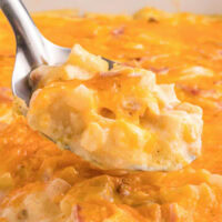 cropped close up ham and potato casserole