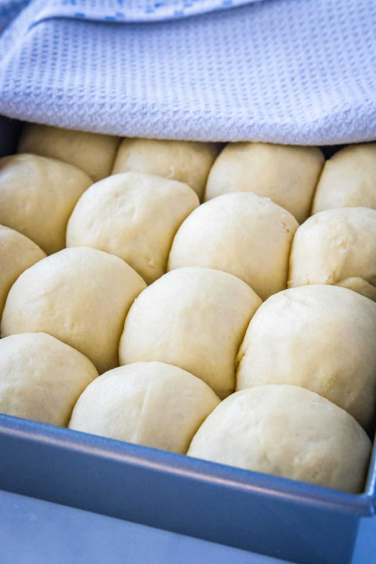 hawaiian rolls after they have risen