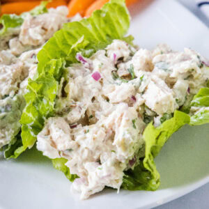 close up healthy chicken salad in lettuce cups on a plate