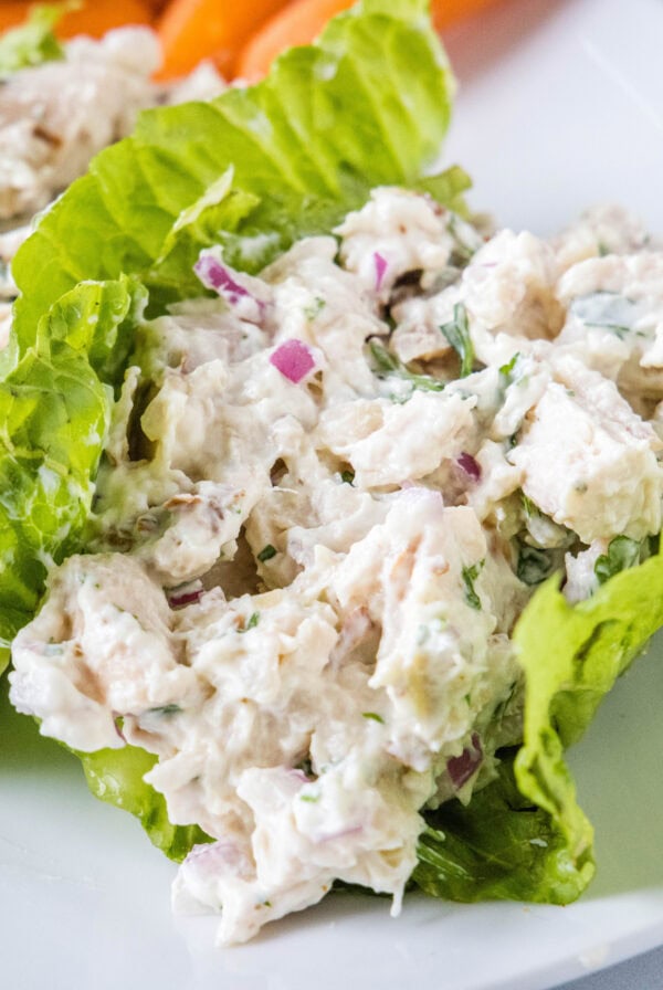 close up healthy chicken salad in lettuce cups on a plate
