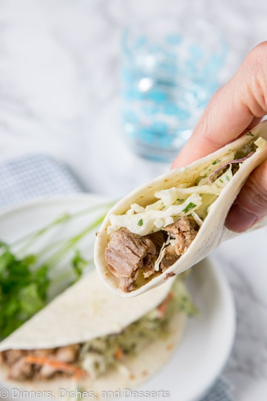 hand holding a pork taco