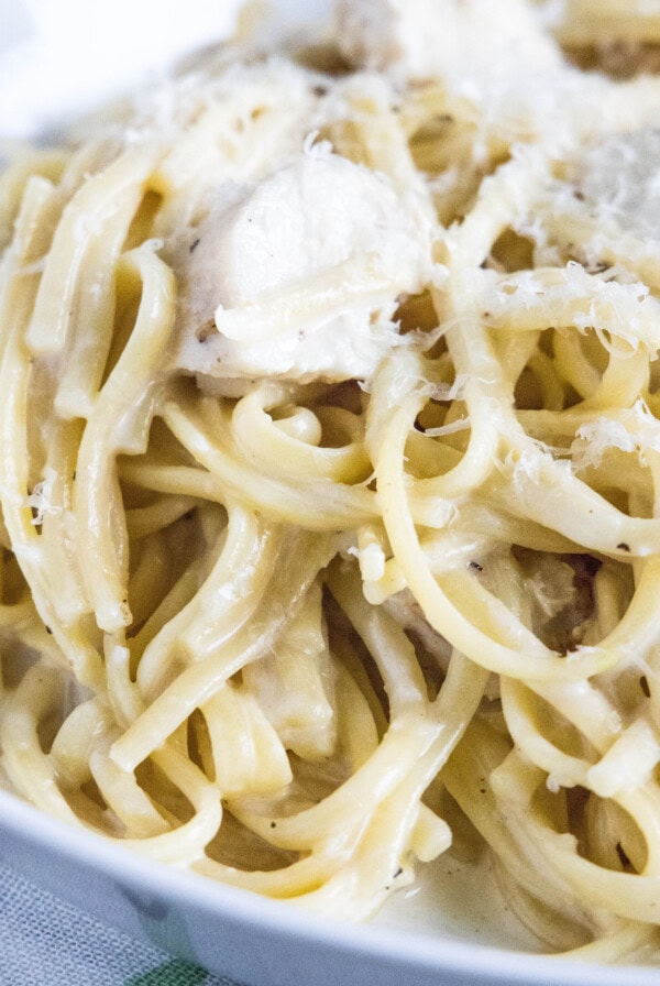 cropped close up chicken alfredo