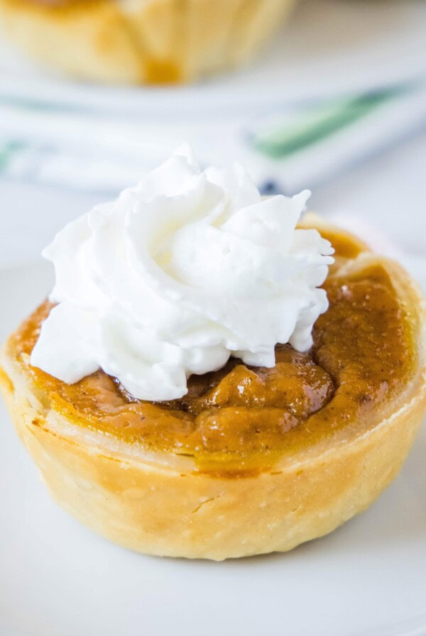 close up individual pumpkin pie on a white plate
