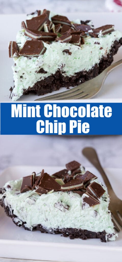 close up mint chocolate chip pie