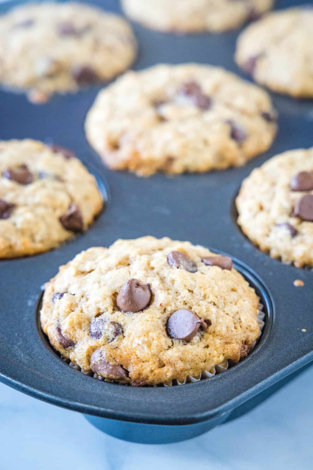 Baked oatmeal chocolate chip muffins in a metal muffin pan.