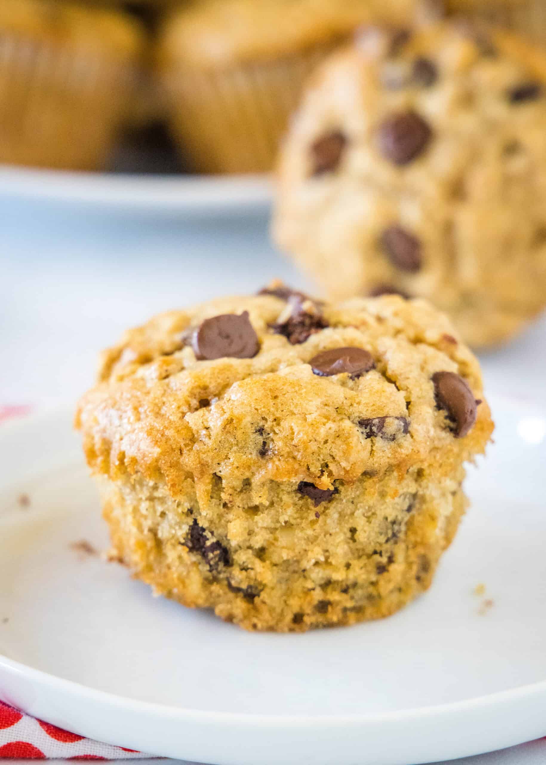 These oatmeal chocolate chip muffins are a hearty, wholesome breakfast treat packed with old-fashioned oats and pockets of gooey chocolate! An oatmeal chocolate chip muffin on a white plate with more muffins in the background.