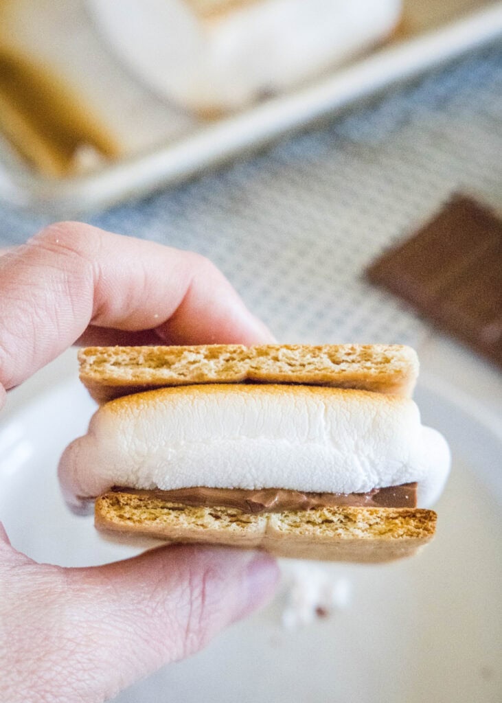 a hand holding a s'mores