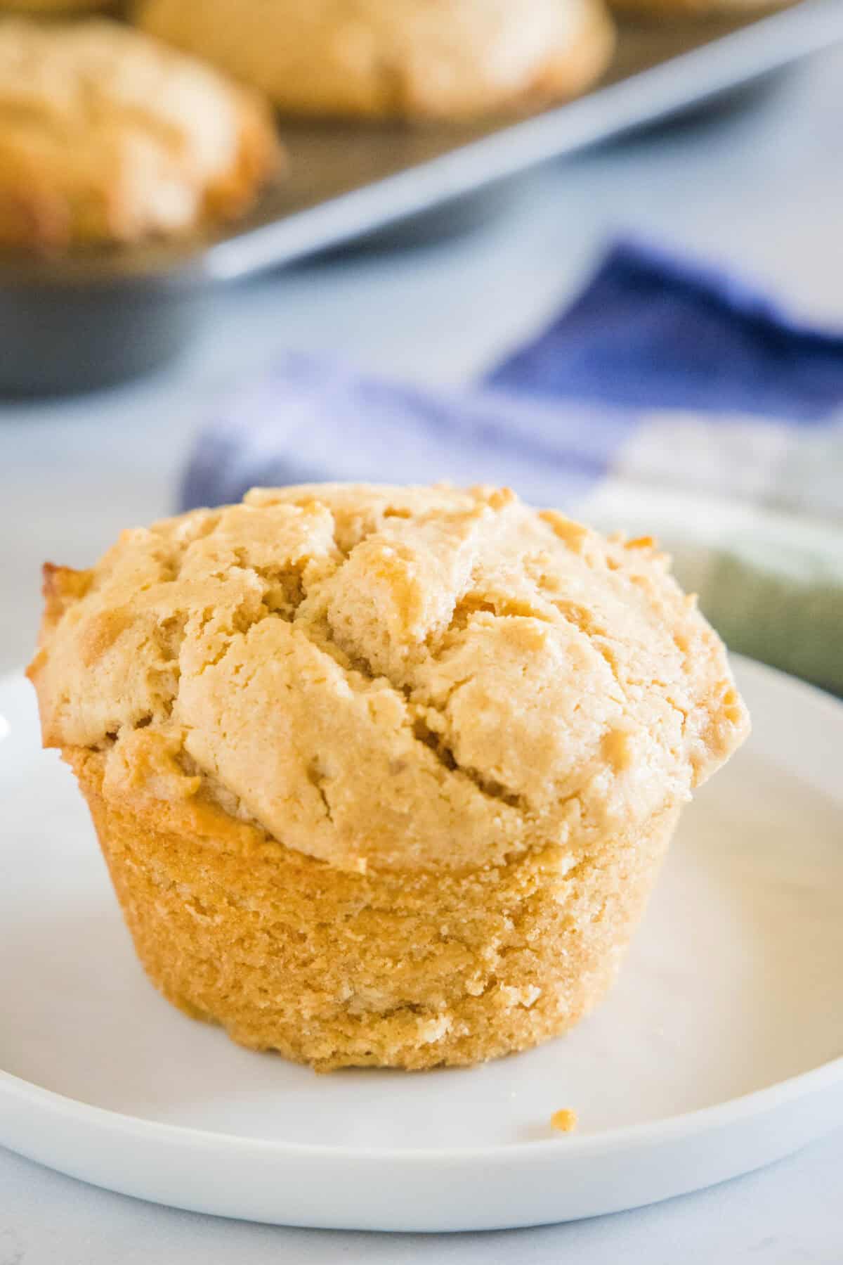 peanut butter and jelly muffin on a plate