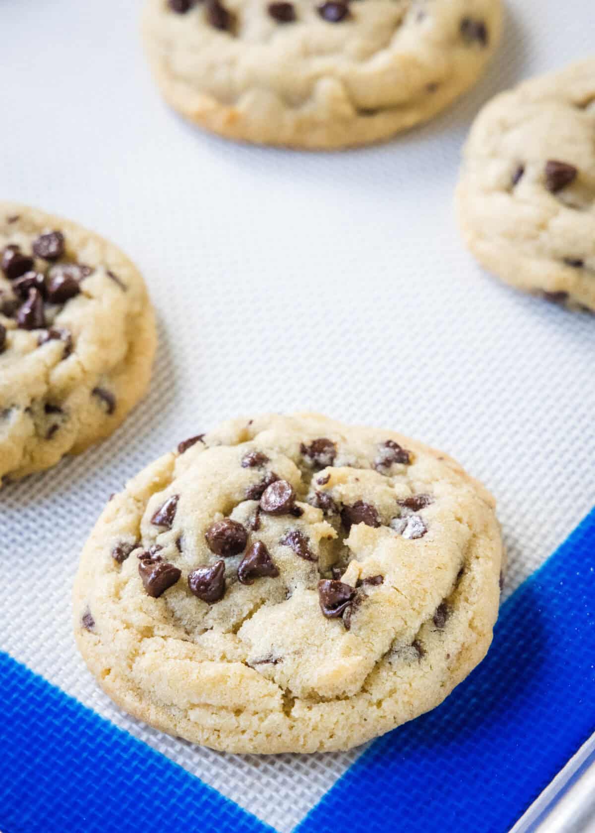 chocolate chip cookie on a baking tray