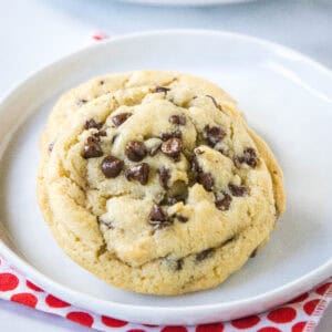 cropped close up chocolate chip cookie on a plate